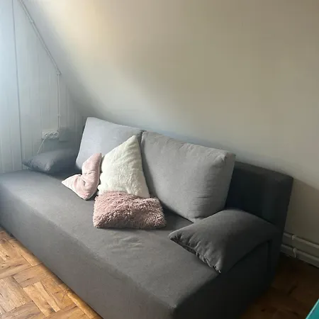 Vizko Relax&chill *