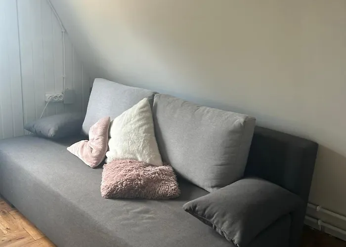 Vizko Relax&chill *